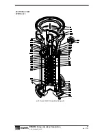 Preview for 34 page of EBARA EVMSU Operation, Installation & Maintenance Manual Operation, Installation & Maintenance Manual