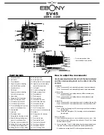 ebony SV45 User Manual предпросмотр