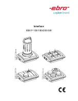 Ebro EBI IF-100 Manual предпросмотр