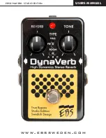 EBS DynaVerb User Manual preview