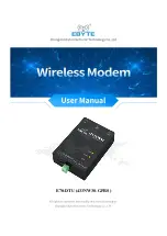 Ebyte 433NW30-GPRS User Manual preview