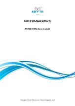 Ebyte 6601 User Manual preview