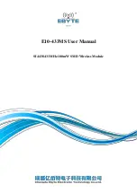 Ebyte E10-433MS User Manual preview