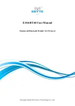 Ebyte E104-BT40 User Manual предпросмотр