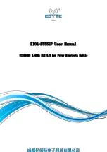 Ebyte E104-BT55SP User Manual предпросмотр