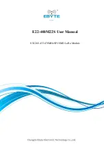 Ebyte E22-400M22S User Manual предпросмотр