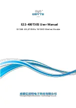 Preview for 1 page of Ebyte E22-400T22S User Manual