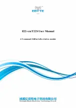 Ebyte E22 T22S Series User Manual preview