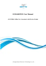 Ebyte E220-400T22S User Manual preview