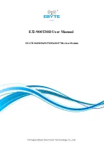 Ebyte E32-900T30D User Manual preview
