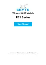 Ebyte E61 Series User Manual предпросмотр