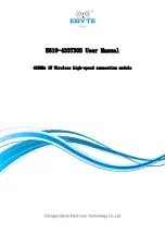 Ebyte E610-433T30S User Manual preview