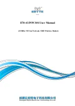 Ebyte E70-433NW3S0 User Manual preview