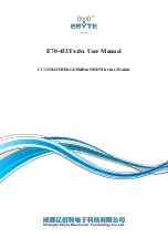 Preview for 1 page of Ebyte E70-433T S Series User Manual