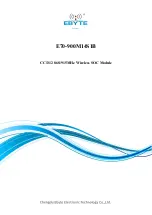 Ebyte E70-900M14S1B Manual preview