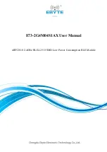 Ebyte E73-2G4M04S1A User Manual preview