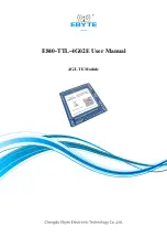 Предварительный просмотр 1 страницы Ebyte E840-TTL-4G02E User Manual