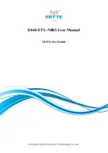 Ebyte E840-TTL-NB03 User Manual предпросмотр