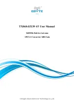 Ebyte TX868-JZLW-15 User Manual preview