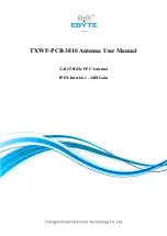 Ebyte TXWF-PCB-3810 User Manual preview