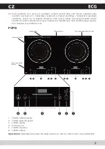 Preview for 3 page of ECG IV 30D Operating Manual