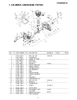 Preview for 2 page of Echo CS-8002(36) Parts Catalog