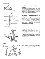 Предварительный просмотр 10 страницы Echo CST-610EVL Operator'S Manual