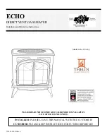 Echo DIRECT VENT GAS HEATER Installation And Operating Instructions Manual предпросмотр