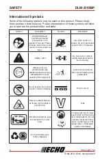 Предварительный просмотр 6 страницы Echo DLM-2100SP Operator'S Manual