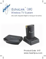 Echo EchoLink 917 Manual preview