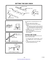 Предварительный просмотр 29 страницы Echo X7503196703 Instruction Manual