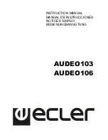 Preview for 1 page of Ecler AUDEO103 Instruction Manual