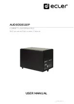 Ecler AUDEOSB110P User Manual preview