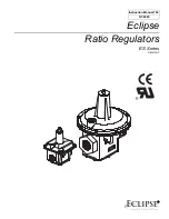 Eclipse ES Series Instruction Manual предпросмотр