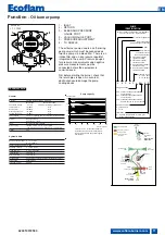 Preview for 11 page of Ecoflam 3121067 Operating Instructions Manual