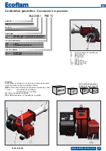 Предварительный просмотр 37 страницы Ecoflam 3145120 Manual