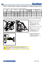 Предварительный просмотр 62 страницы Ecoflam 3147824 Manual