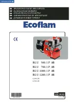 Ecoflam BLU 1000.1 P AB Manual preview