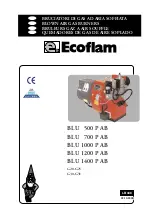 Preview for 1 page of Ecoflam BLU 1000 P AB Manual