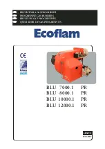 Ecoflam BLU 10000.1 PR Manual предпросмотр