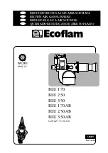 Preview for 1 page of Ecoflam BLU 170 Manual