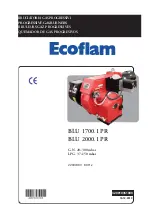 Ecoflam BLU 1700.1 PR Manual предпросмотр