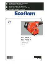 Ecoflam BLU 500.1 P Manual предпросмотр