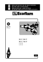 Ecoflam BLU 500 P Manual предпросмотр