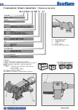 Preview for 46 page of Ecoflam BLU TS 1700.1 PR HT Manual