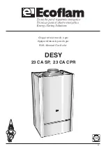 Ecoflam DESY 23 CA CPR Manual preview