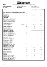 Preview for 4 page of Ecoflam DESY 23 CA CPR Manual