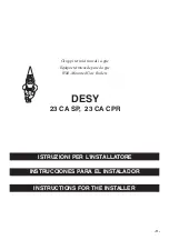 Preview for 11 page of Ecoflam DESY 23 CA CPR Manual