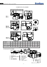 Preview for 4 page of Ecoflam DUAL 1 Manual