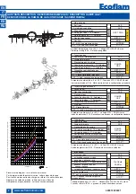 Preview for 4 page of Ecoflam GT-S1-VGD20-RP50-BLU/MULTI Manual